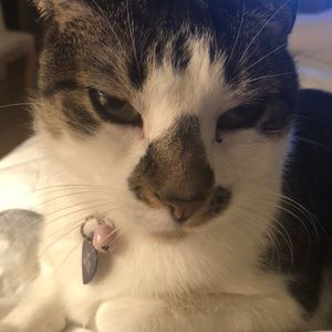 Meet your Posher, Renee